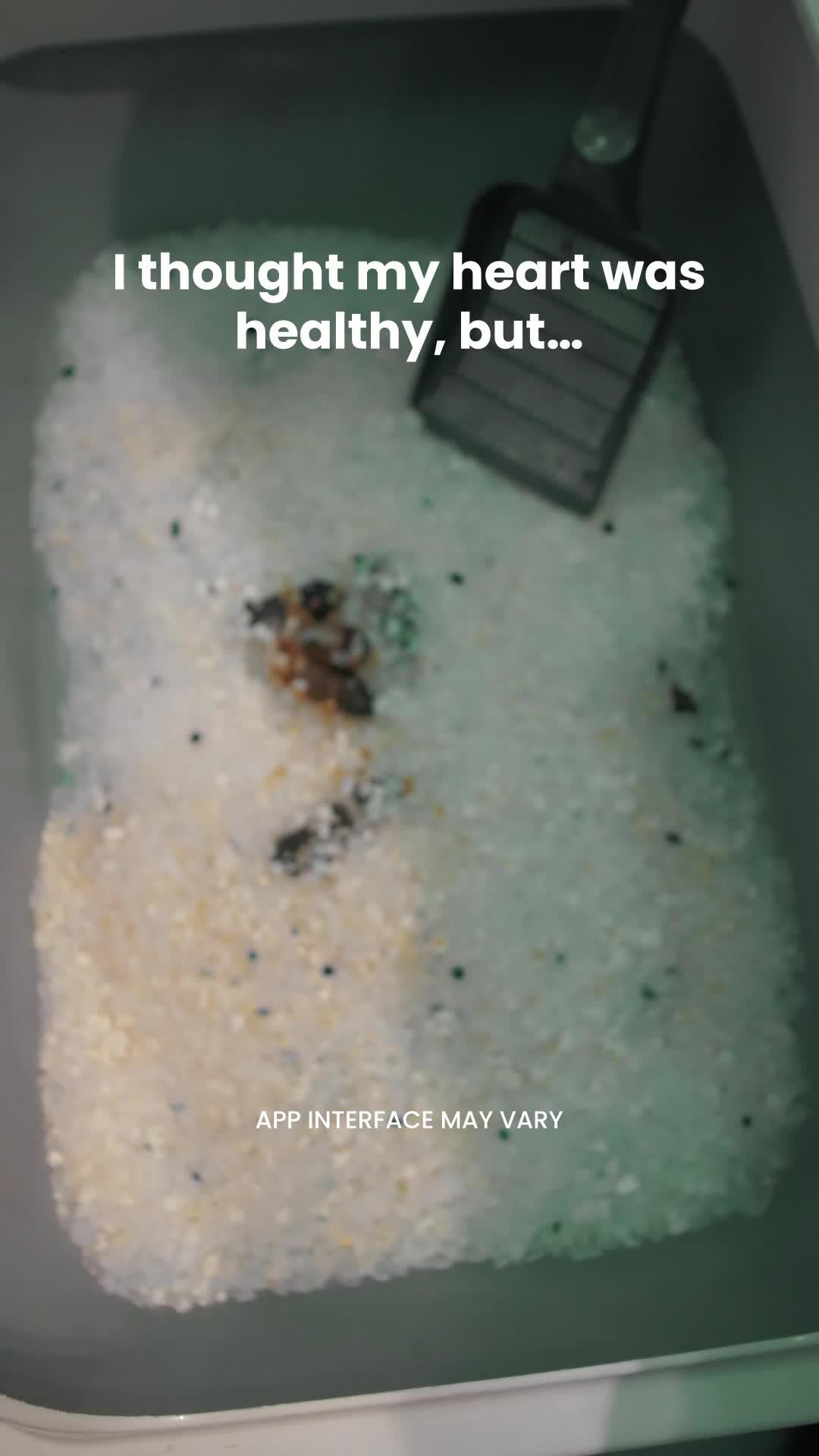 Measure Your Heart Rate!