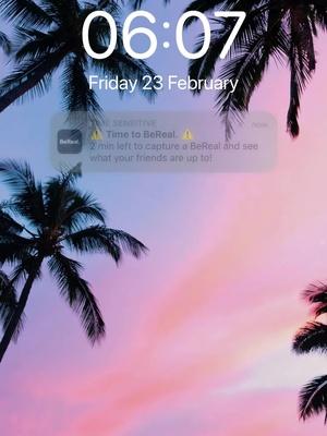 Your friends for real!