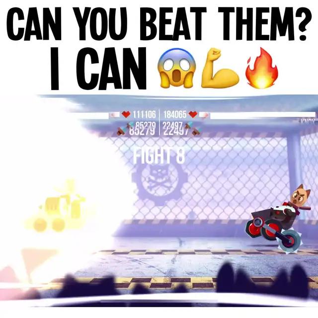 Join the cat army