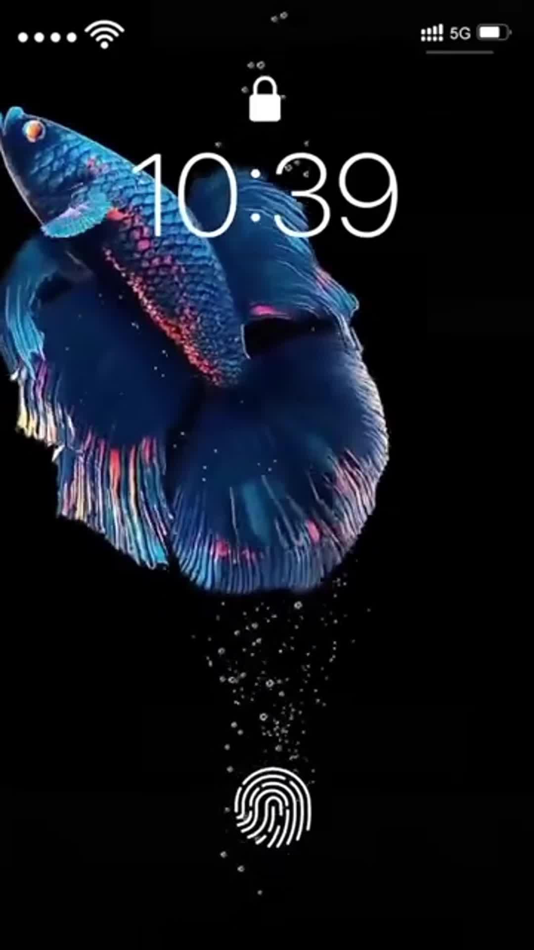 Free and fun app & download it now!