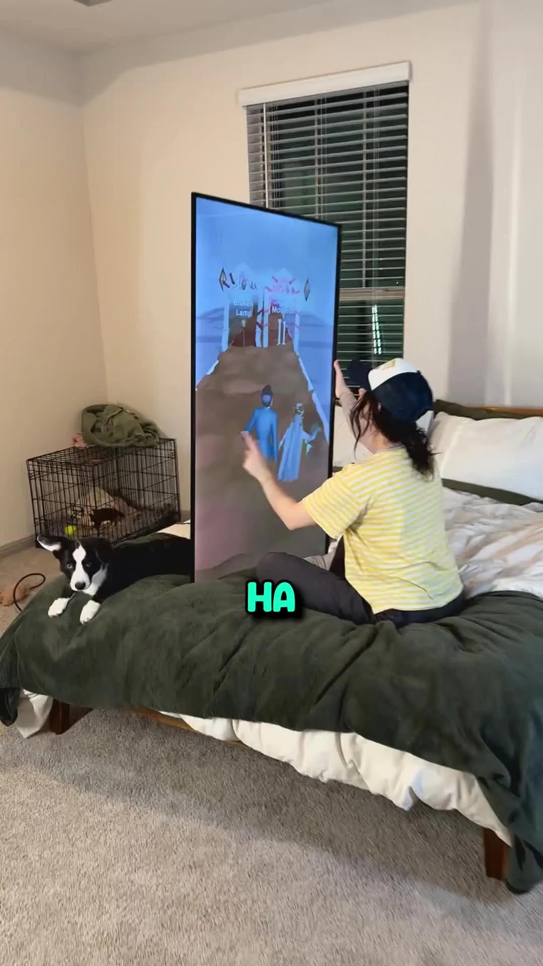 Plan the wedding of the year!