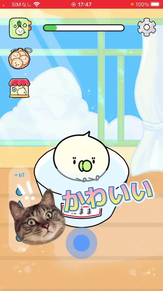 悪口を言うのは合法、ただし玉ねぎだけに！