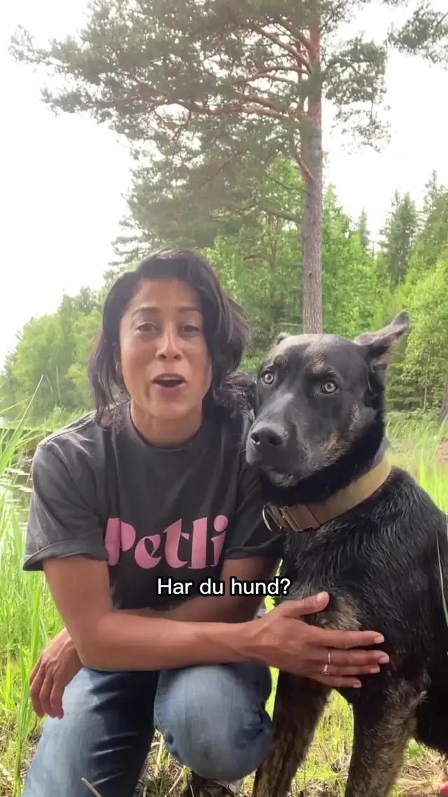 Din personliga hundtränare i mobilen! Ladda ner gratis!