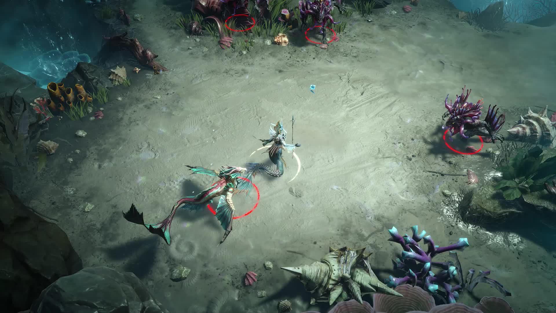 New season, new adventure!