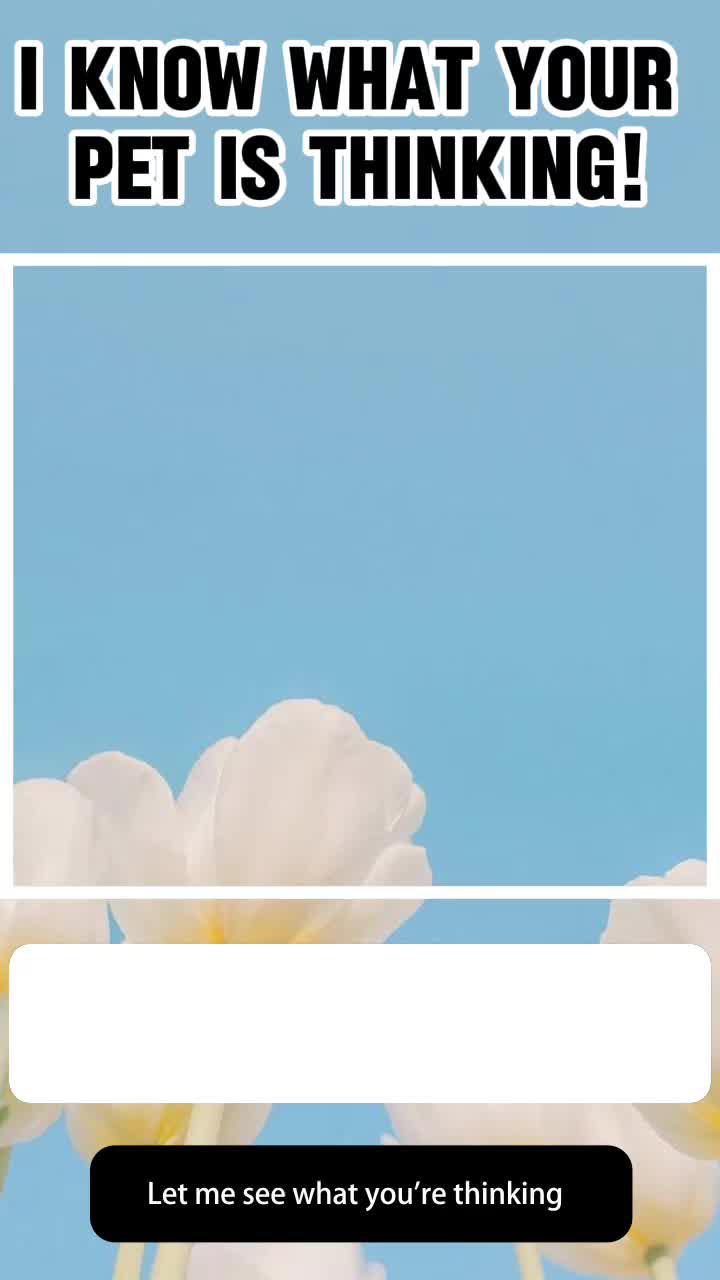 Upload a photo of your pet and let AI know what it’s thinking