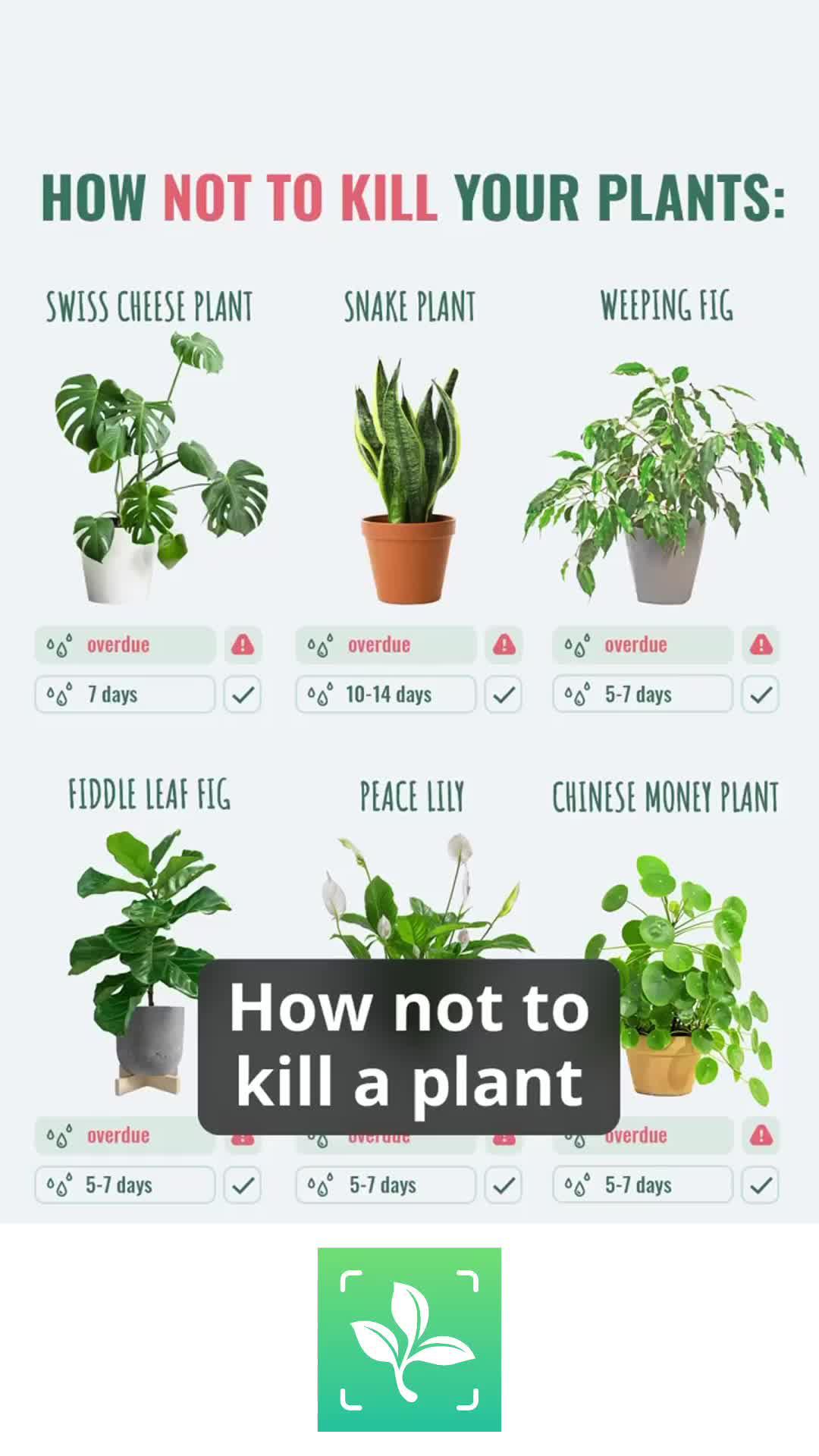Use PlantIn to learn the names of all the interesting plants you bump into.
