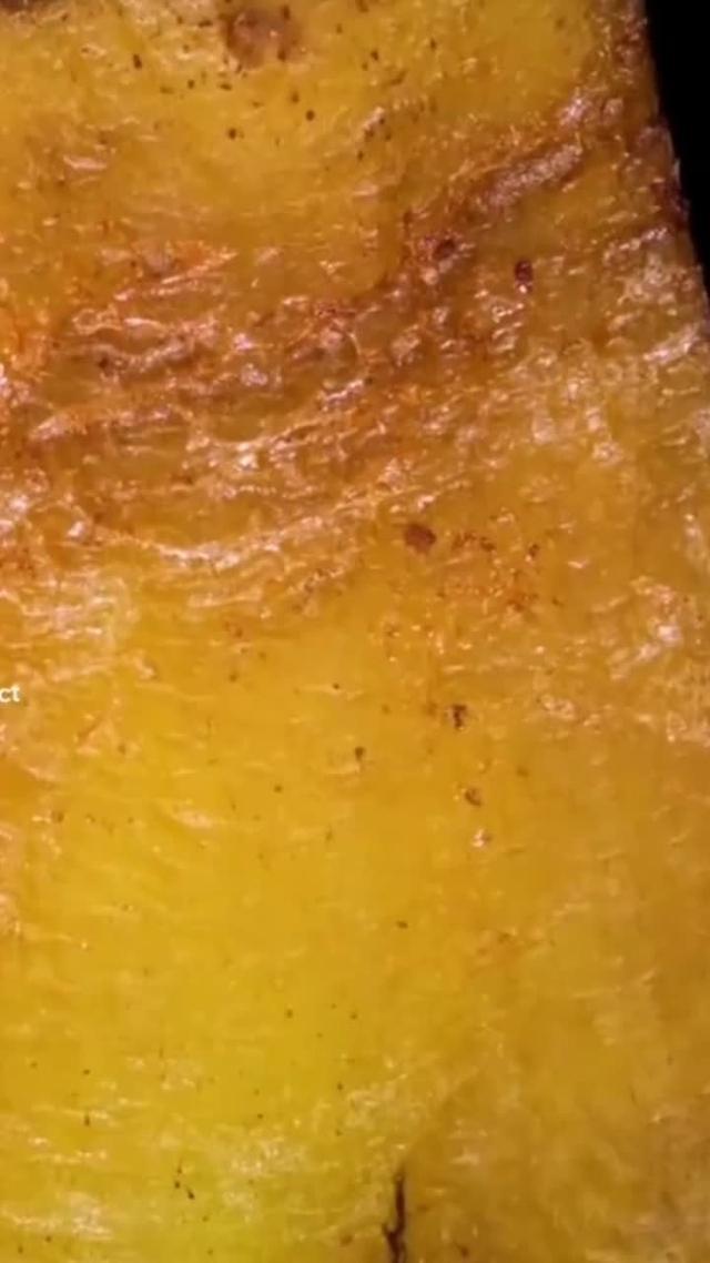 動物餐廳招聘店長啦！現在下載立即領取5萬小魚乾~