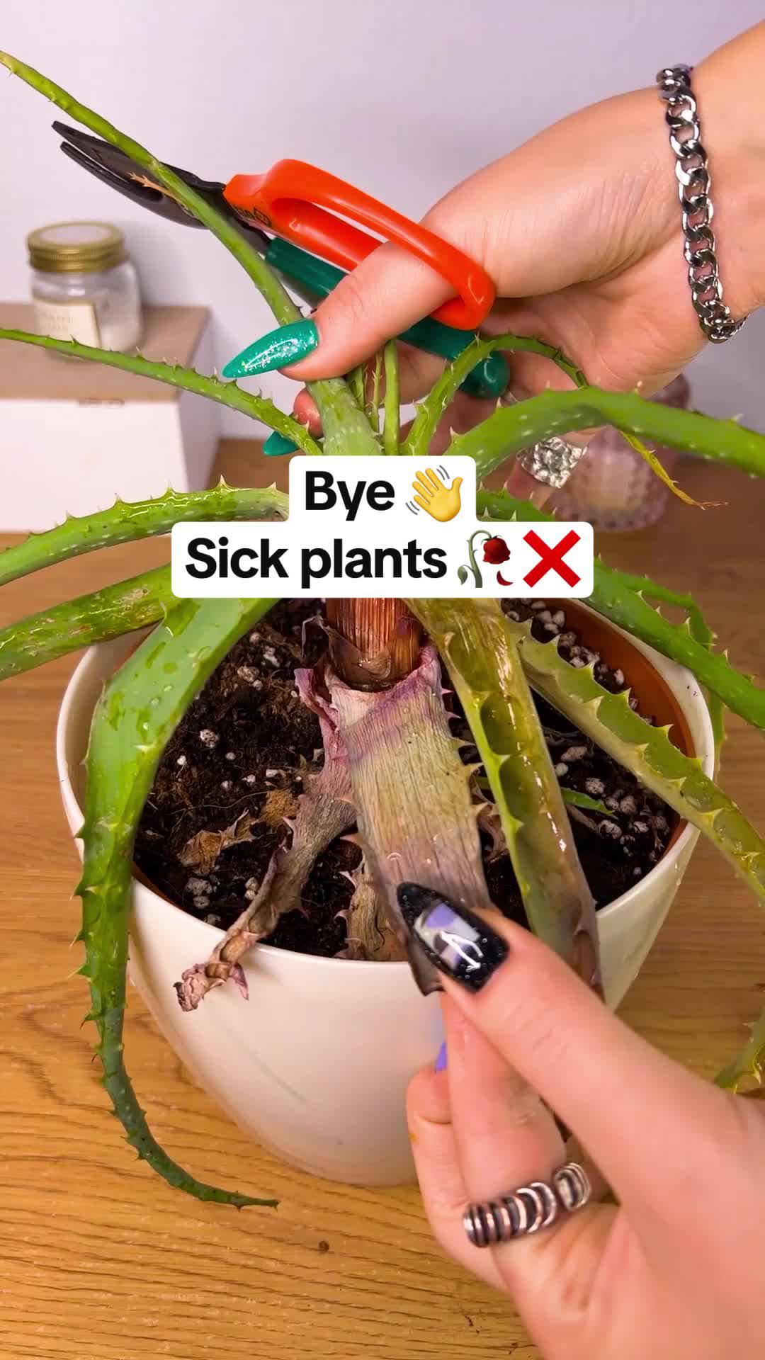 Identify plants with their disease.  Try a free plant!
