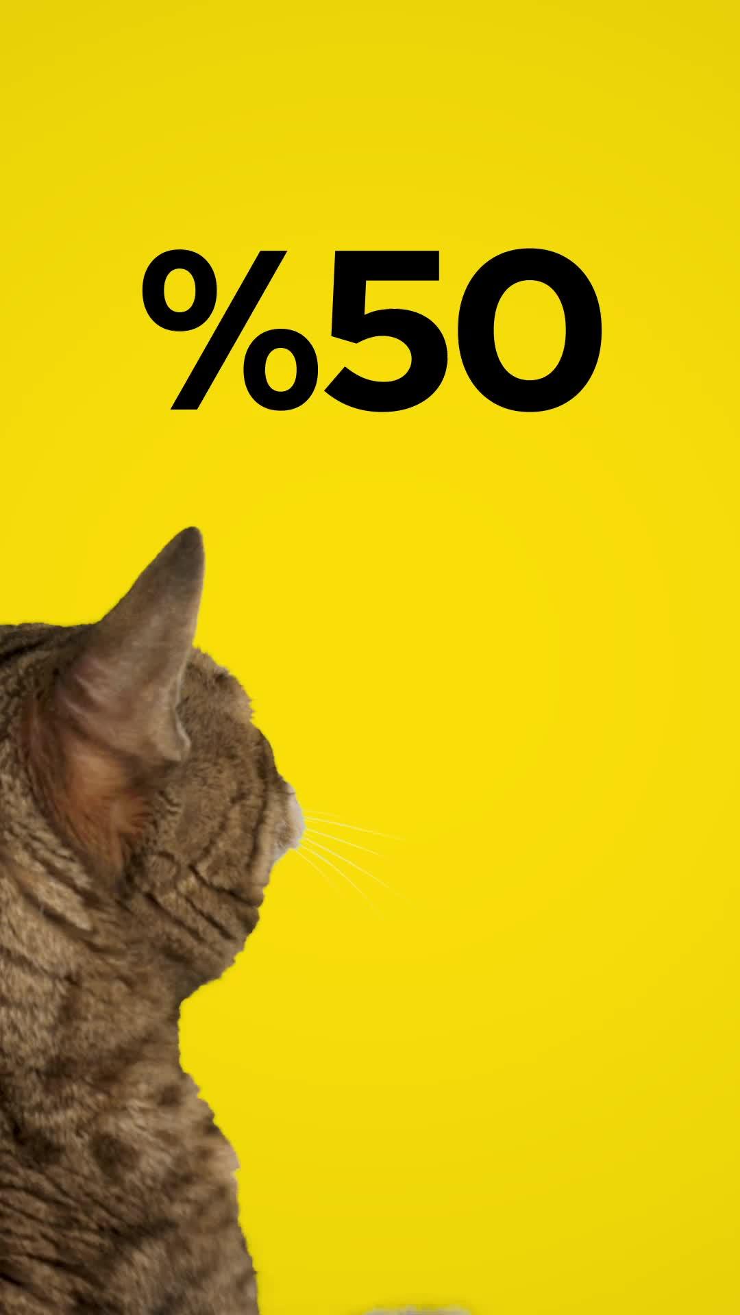 %50'ye Varan Faiz Fırsatını Kaçırma! Hemen Odealı Ol!