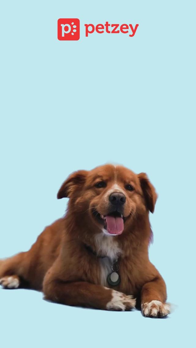 Ultimate pet wellness with Virtual Vet Pro Help anytime, anywhere!