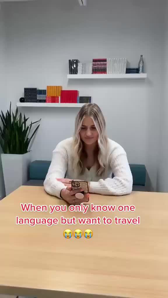 Voice, Text, OCR translation.