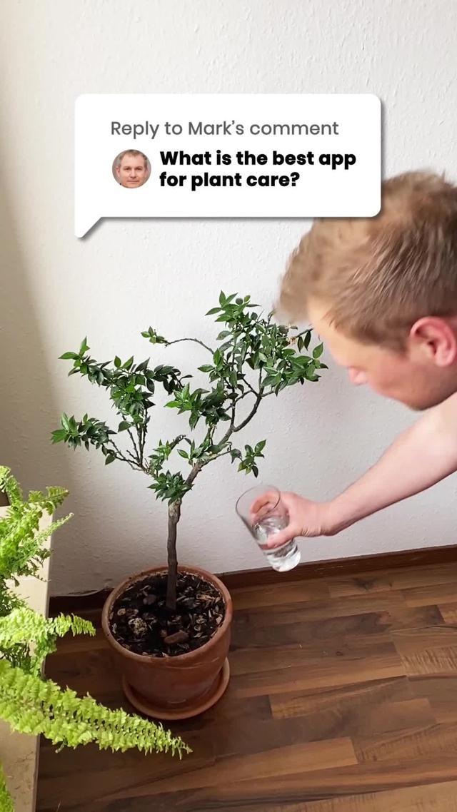 Take Care Of Your Plants Now!