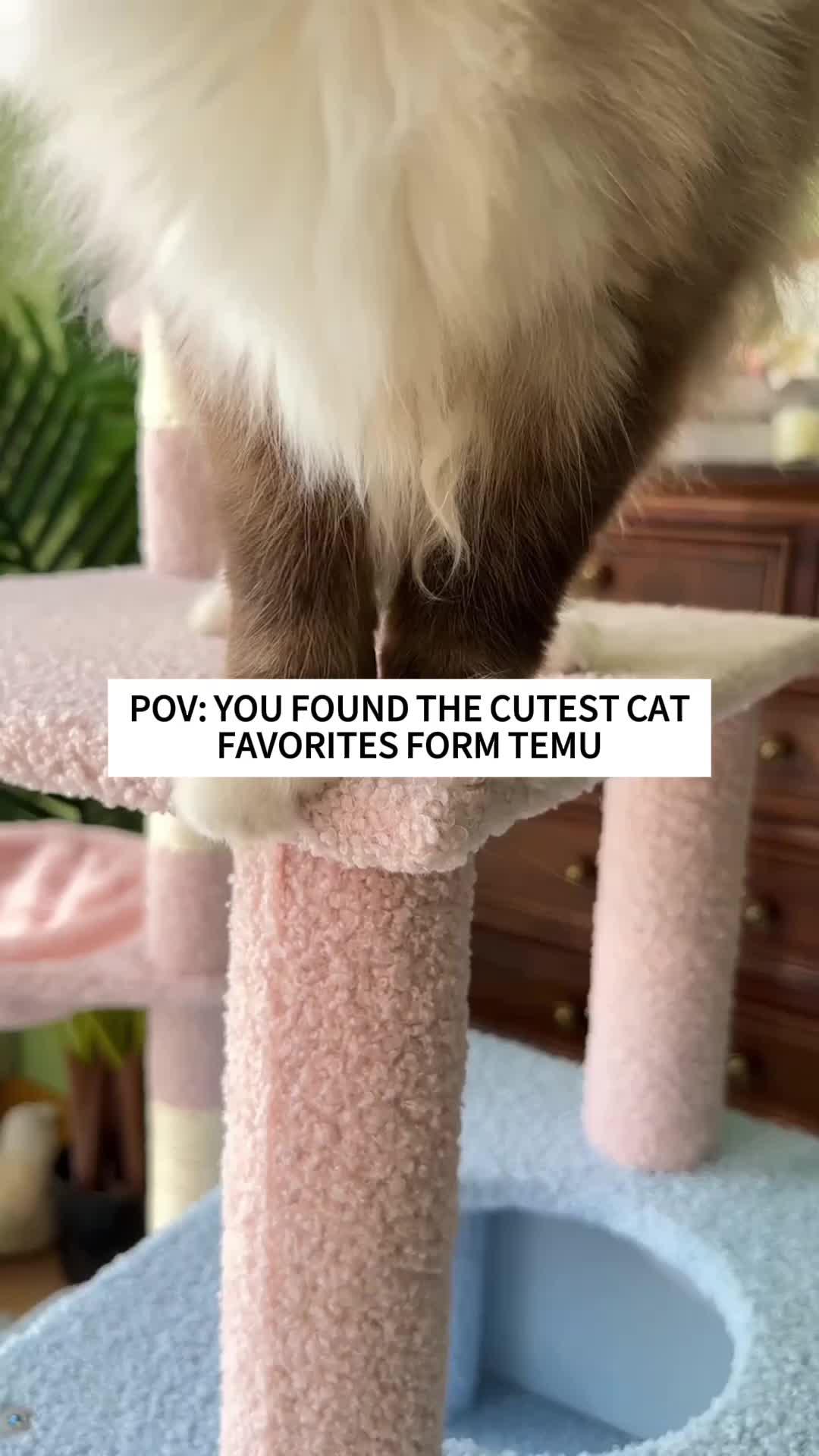 🌟 Pet lovers, behold!💖 Snag the pet essential where love meets innovation on Temu. 🐥🛍️ #BackyardBliss #TemuLove#TemuPets#TemuPetsFinds