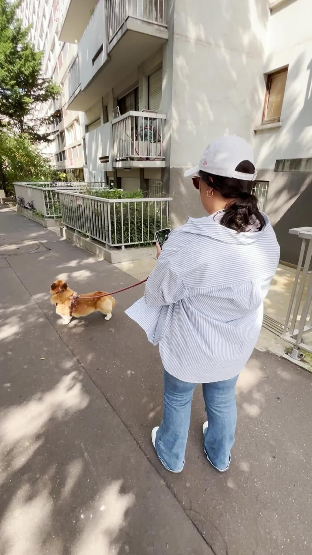 #fyp #swipewipe #cameraroll #springclean #phonehacks #camerarollswipe #iphonestorage