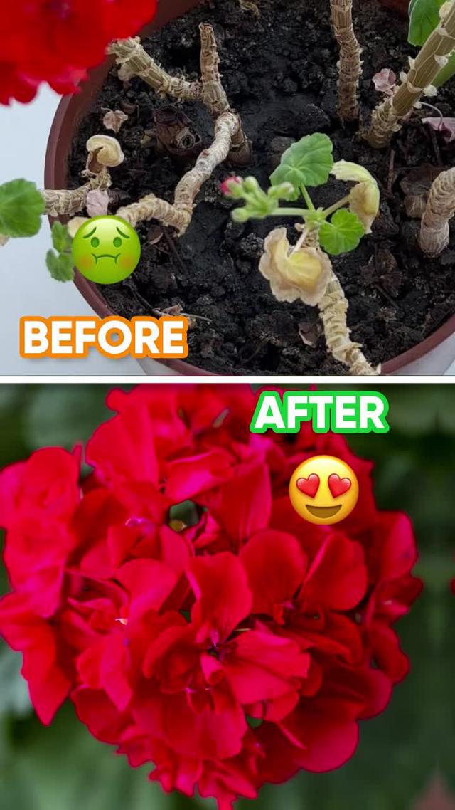 Get Plantyx for FREE!