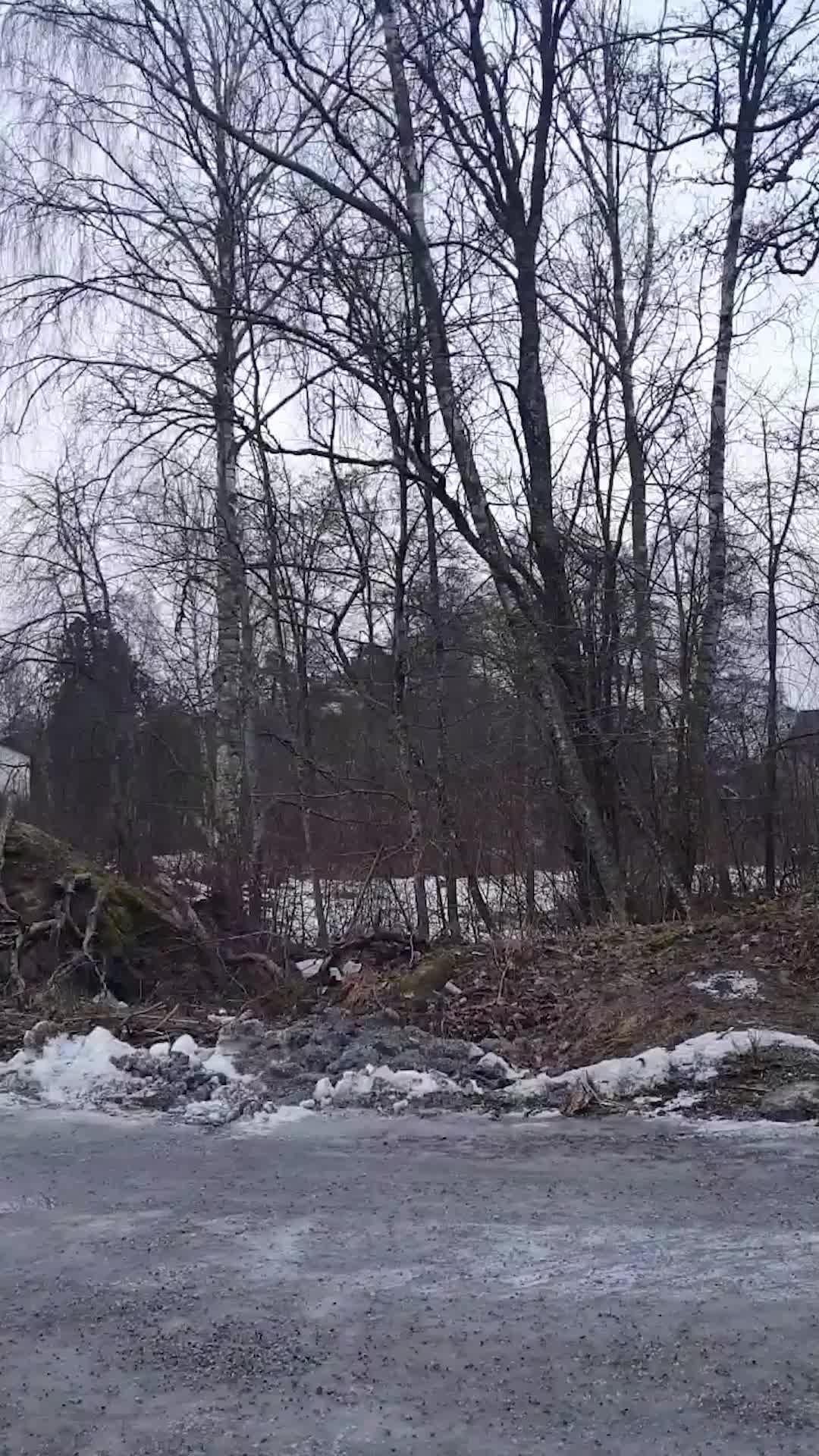 The Biggest Horse Game Online!