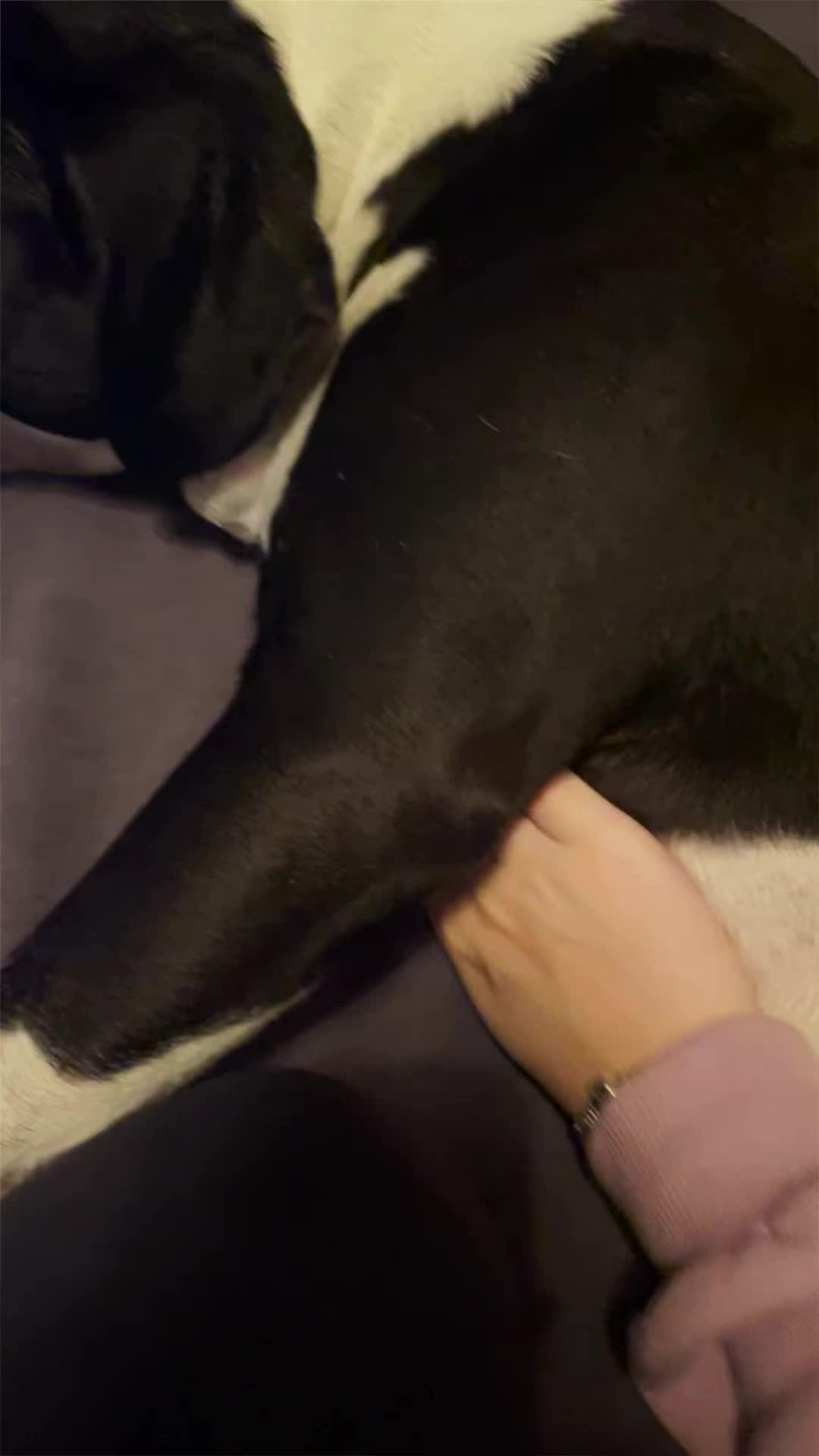 Start using AI straight on your keyboard!