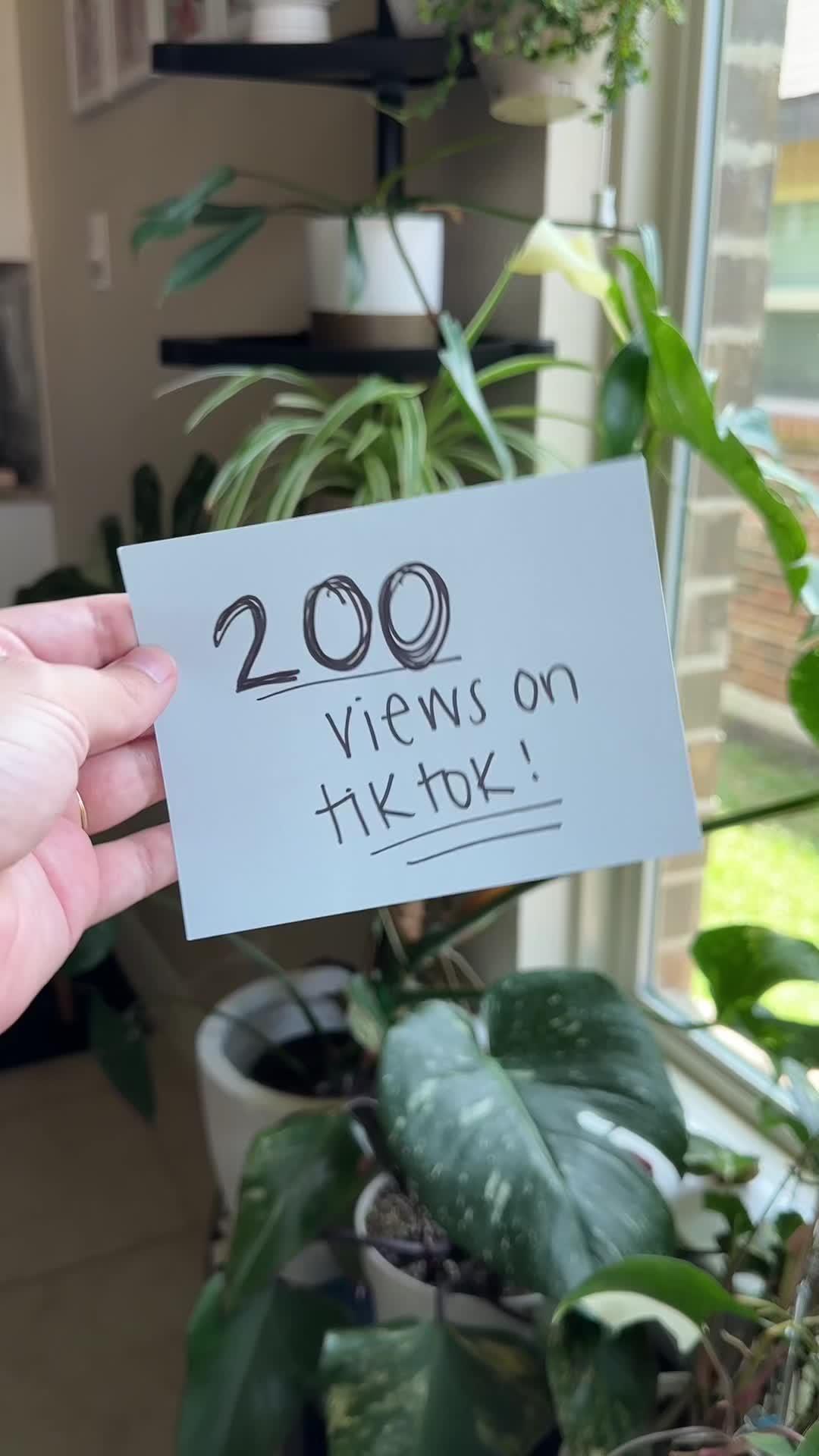How to break the 200 view jail on tiktok @ForUsApps:TikTok Trends & more #trendtok #trendtokapp #socialmediastrategist