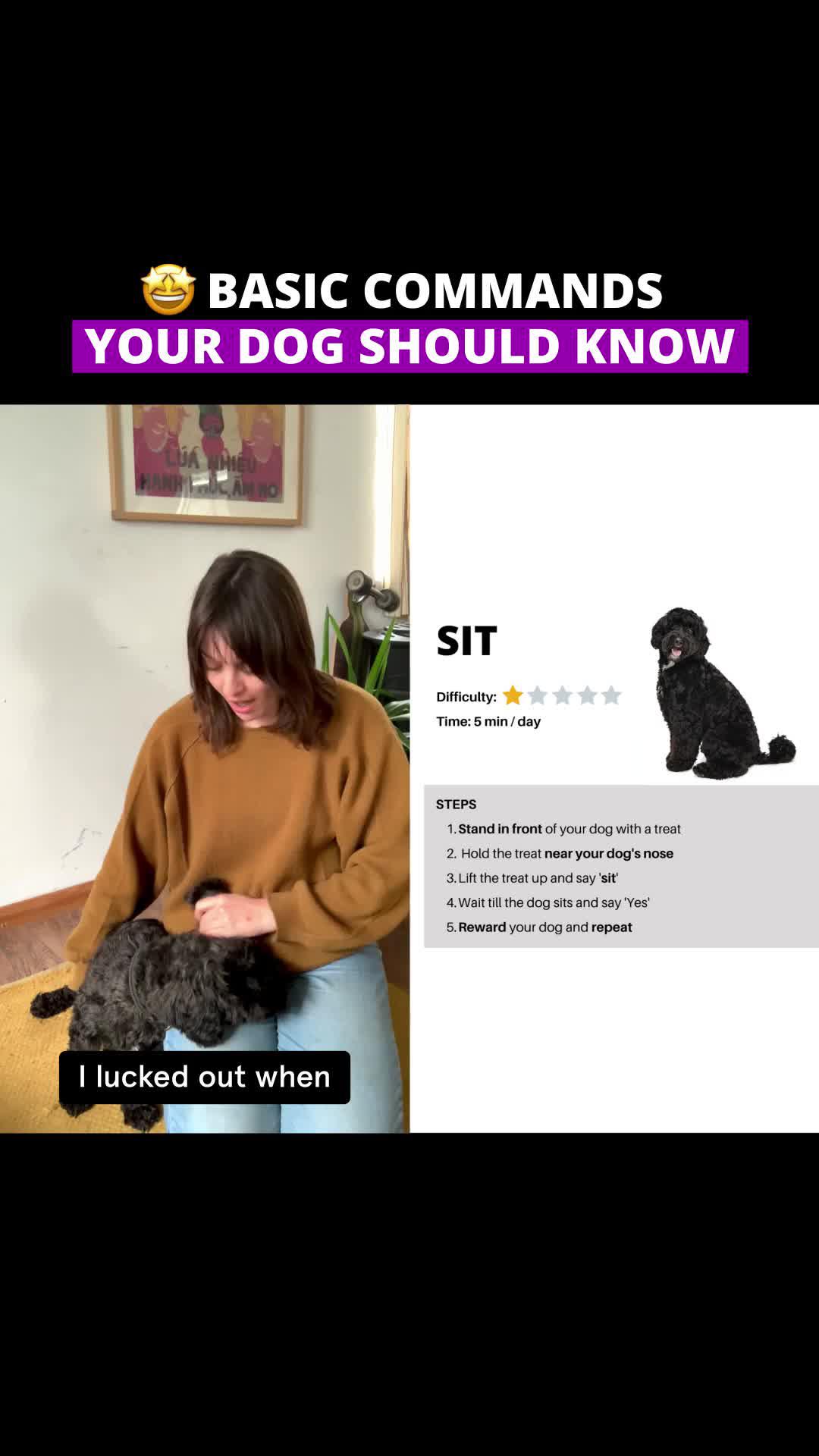 The best dog training app!