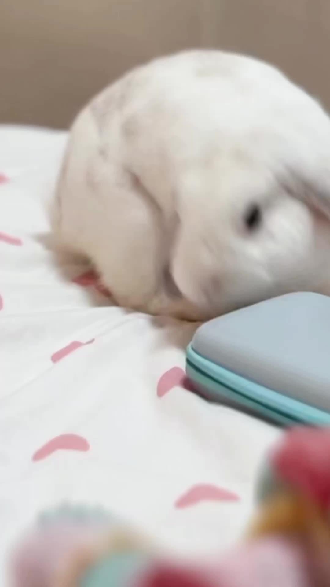 Create routines tailored to your lifestyle, you can make your pleasant every day！