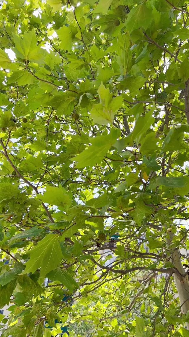 Guadagnare facendo "due passi" è davvero possibile? Si, grazie a Young Platform Step!