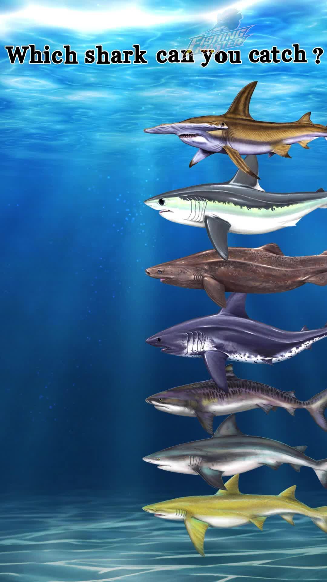 Real fish, real fun. Enjoy stunning 3D fishing environments, download Fishing Master now!