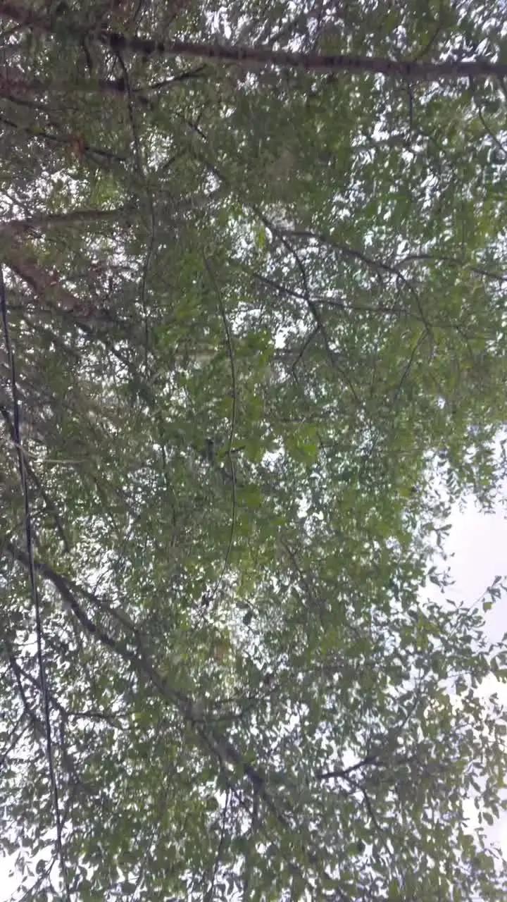 Your content can go up a notch with VCUS!