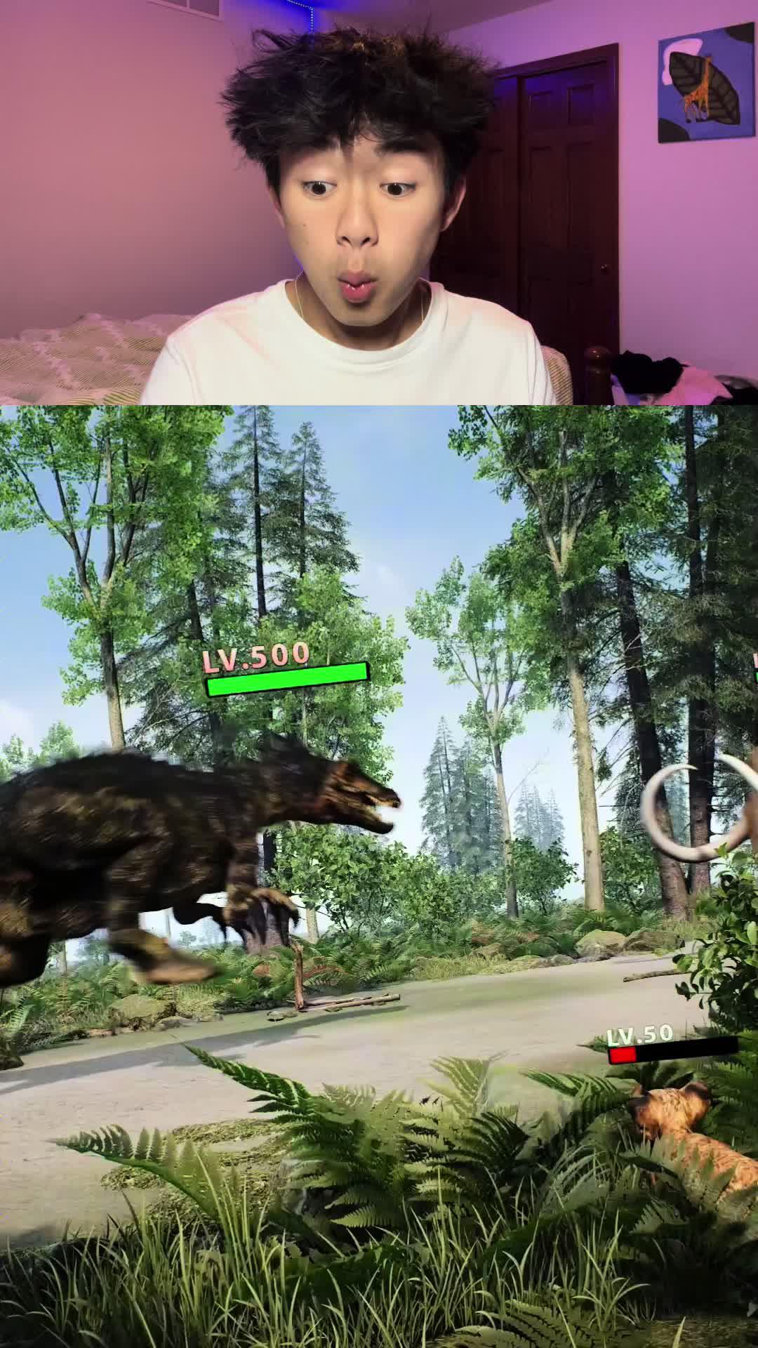 Free animal strategy game