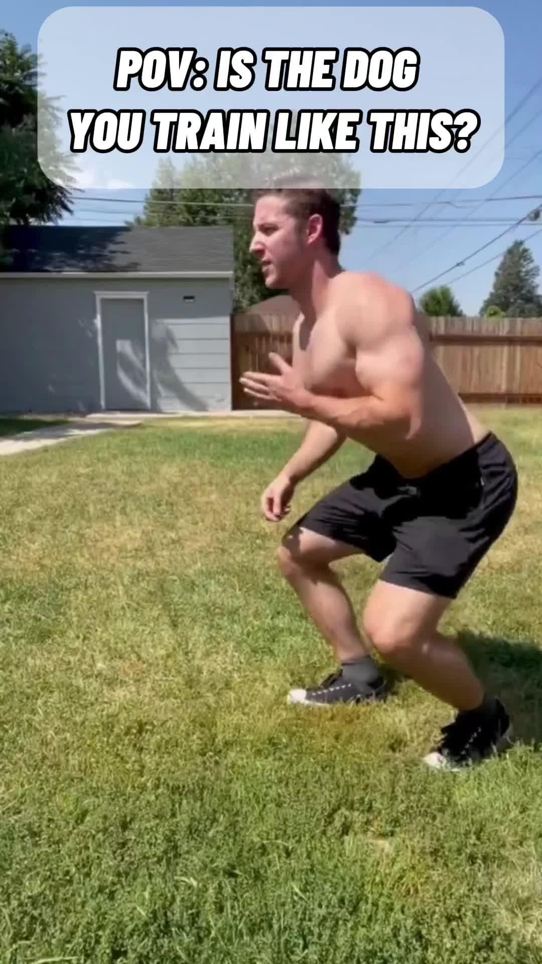 Stuggling to train you dog? Try Woofz!