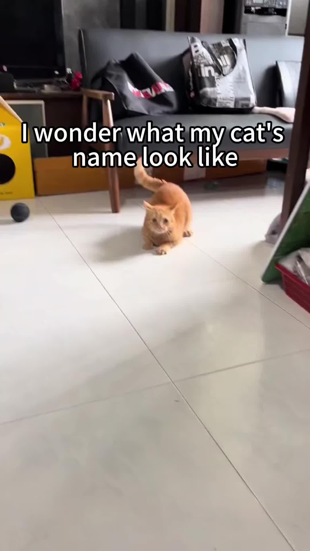 flower language wallpaper