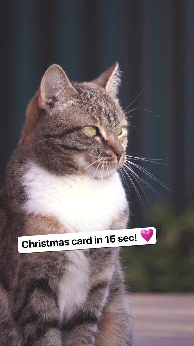 Xmas templates/cards/collages is waiting for!