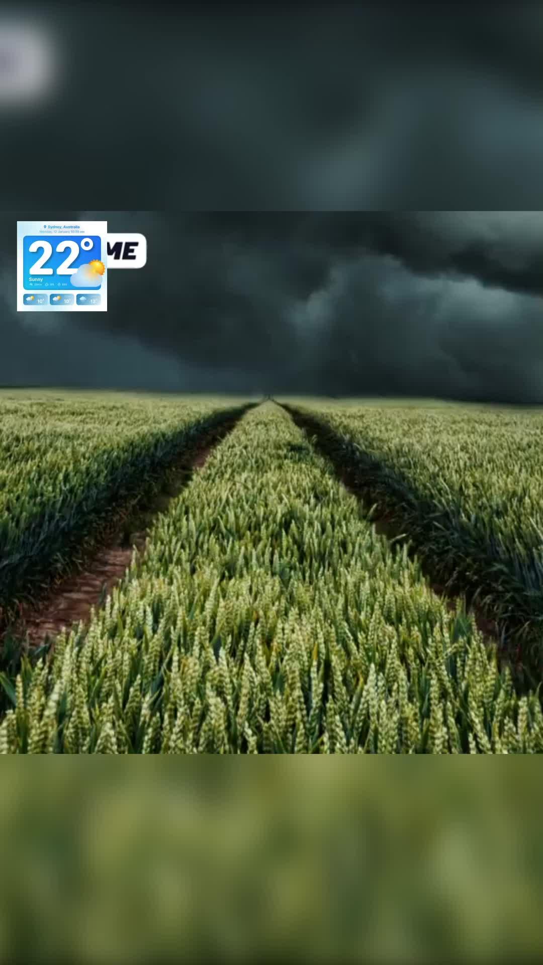 Daily Weather Forecast Free