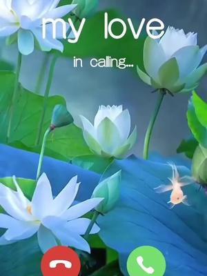 Get in touch with someone you like.