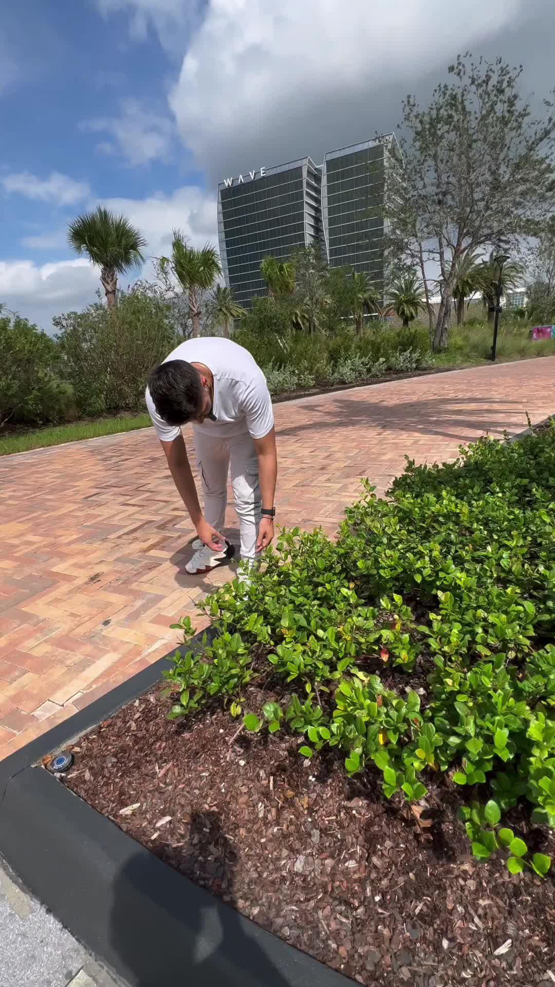 What Are You Waiting For? Join Us Now! @dicedreams_official