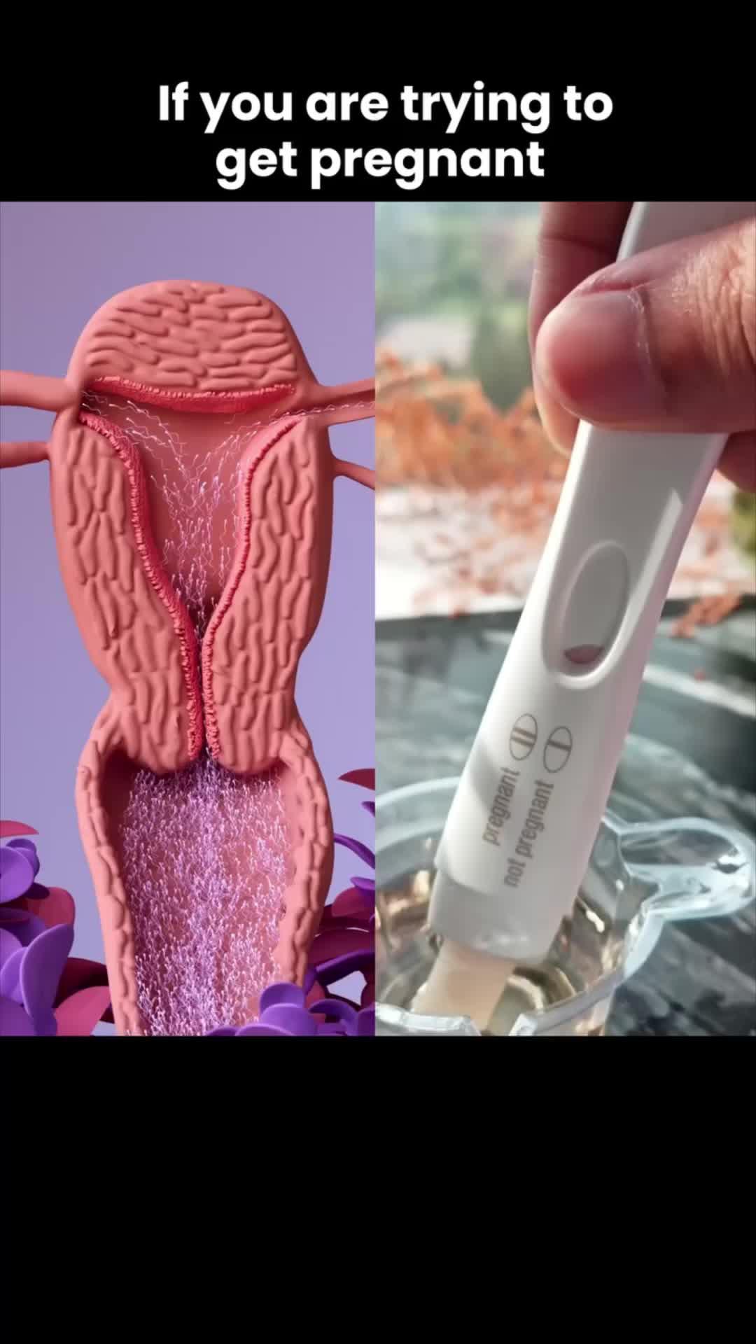 Get Pregnant NOW! Best Fertility App & Clinically Approved!