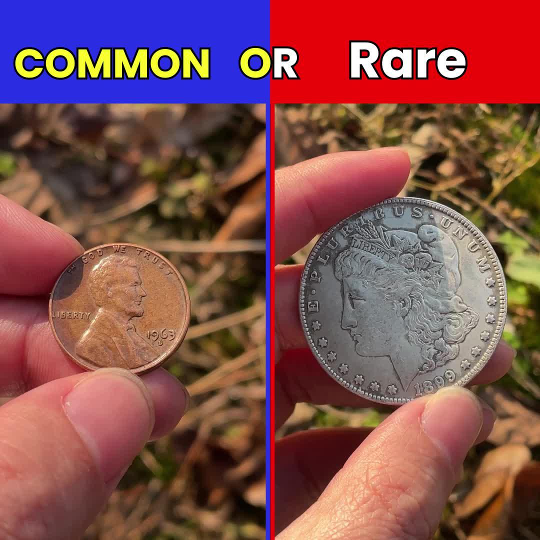 Make you a pro coin collector!