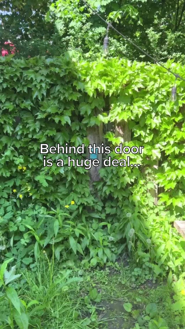 Get deals from 6/20 – 7/24 on beauty, groceries, restaurants and more.