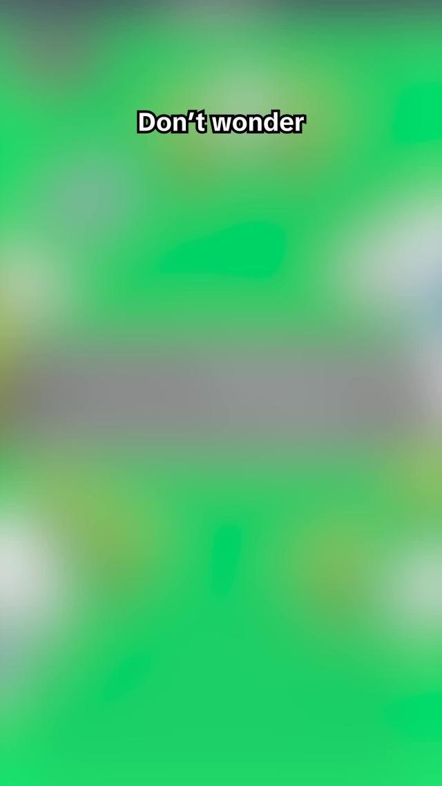 We even have dinosaurs!