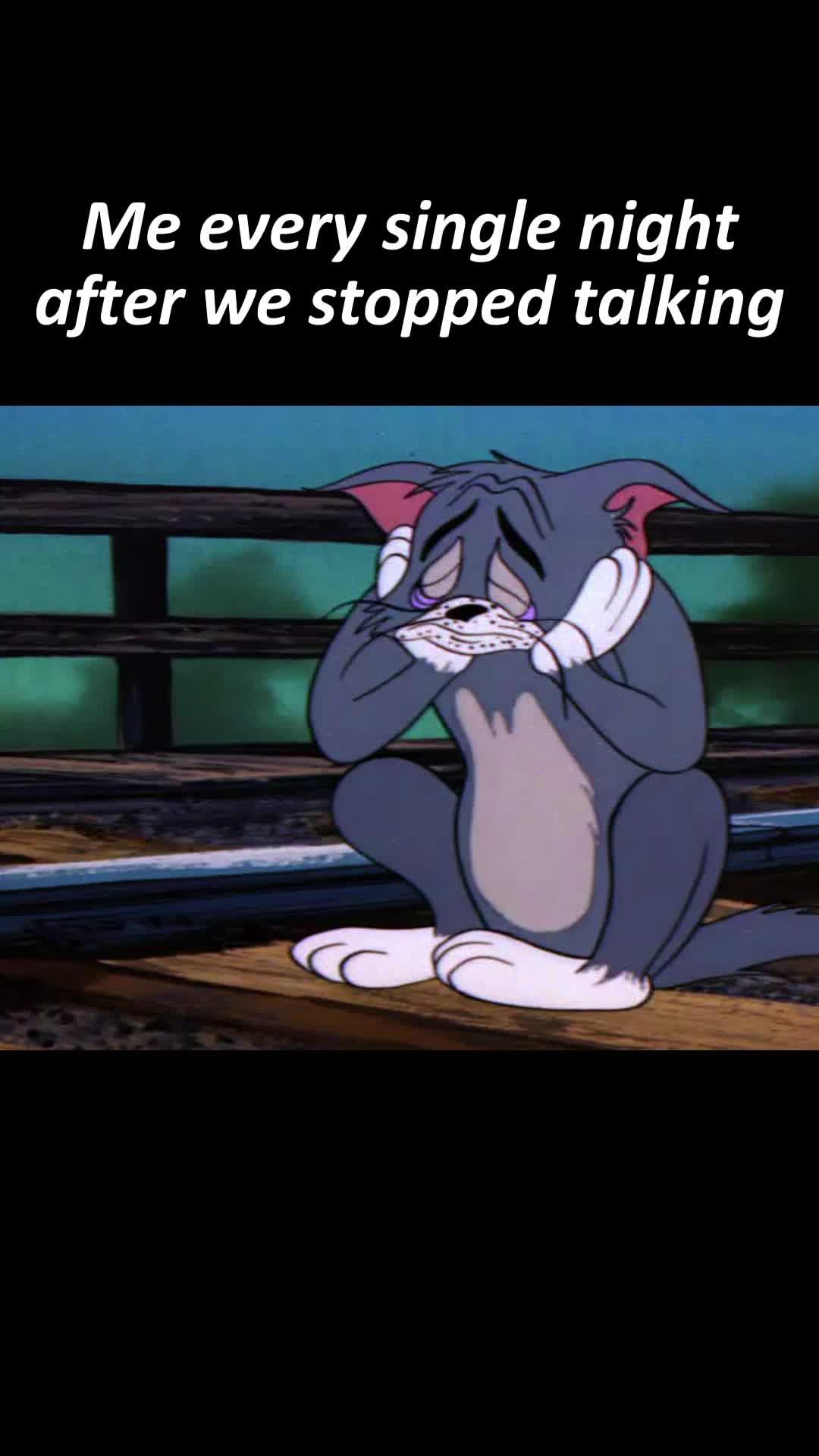 Get More Out of Your Chats with AI Chatbot: Chat Cat. The AI Chat App That Solves All Your Problems!