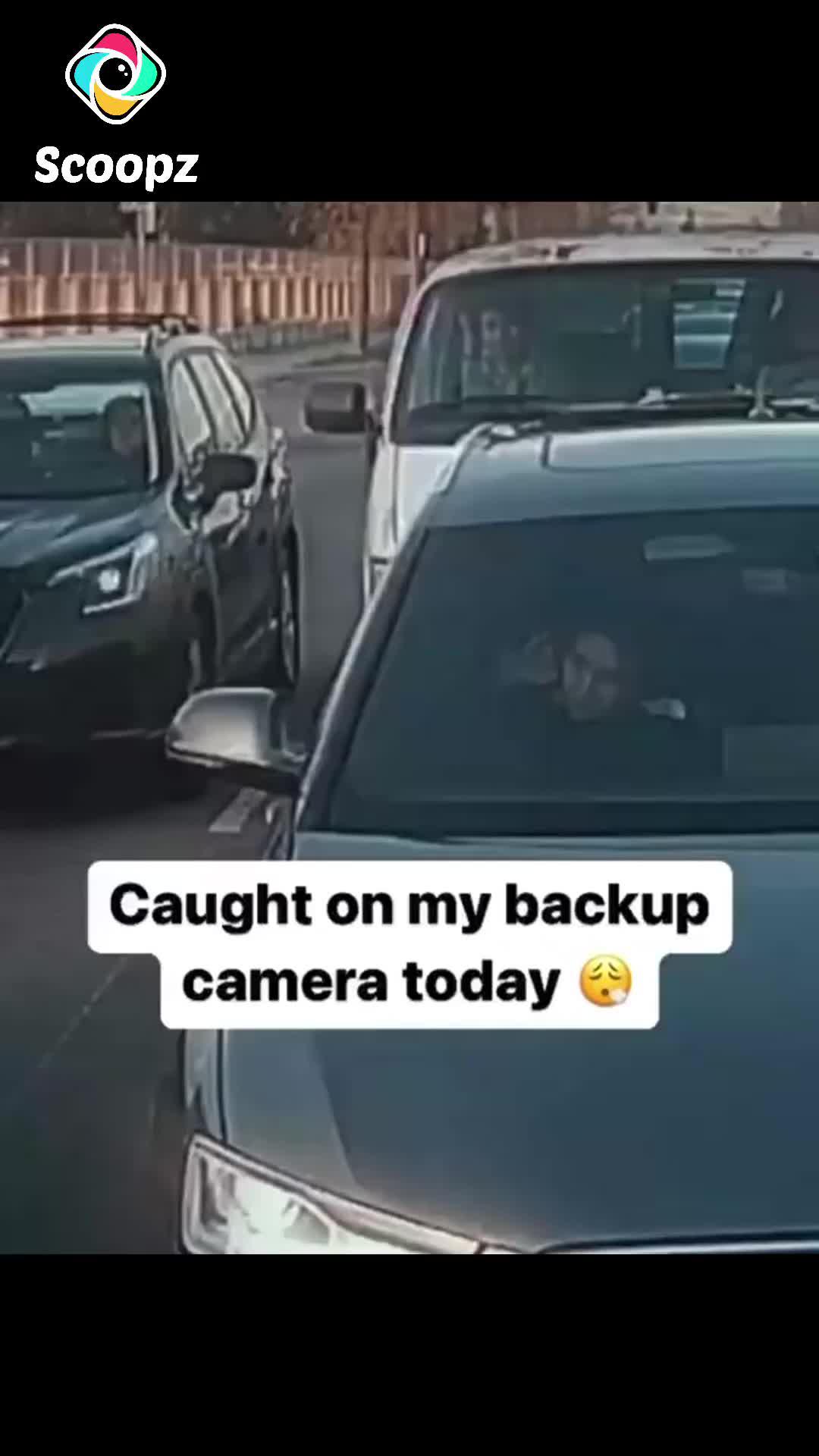 No FOMO here—just real stories you won't want to miss.