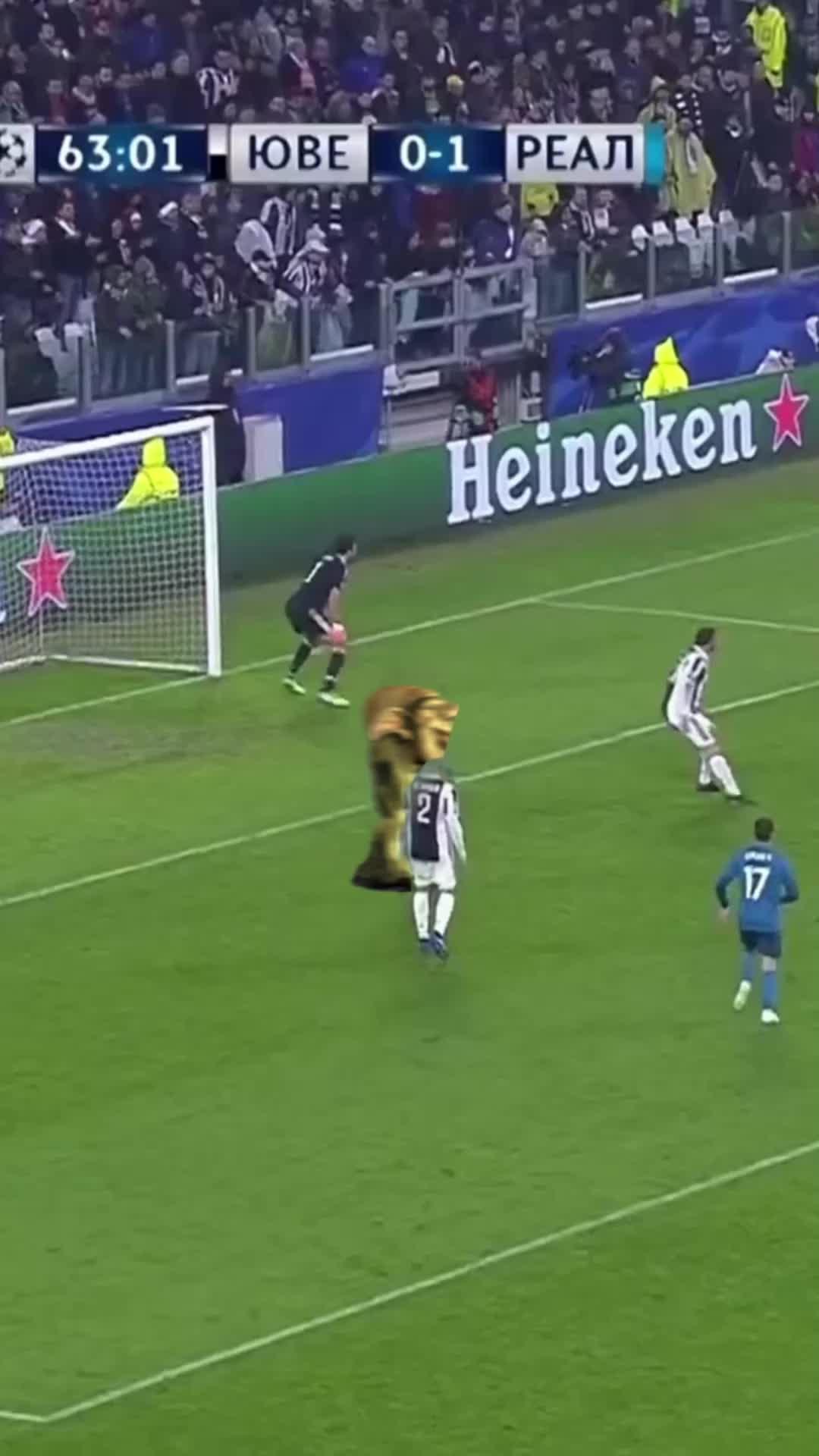 لعب الألعاب مع الأصدقاء الجدد.