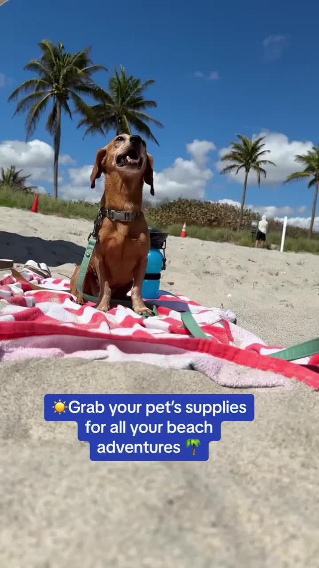 Better for pets. Easier for you! Shop the Chewy app today!
