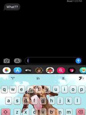 Set exclusive  keyboard& themes for your Phone!