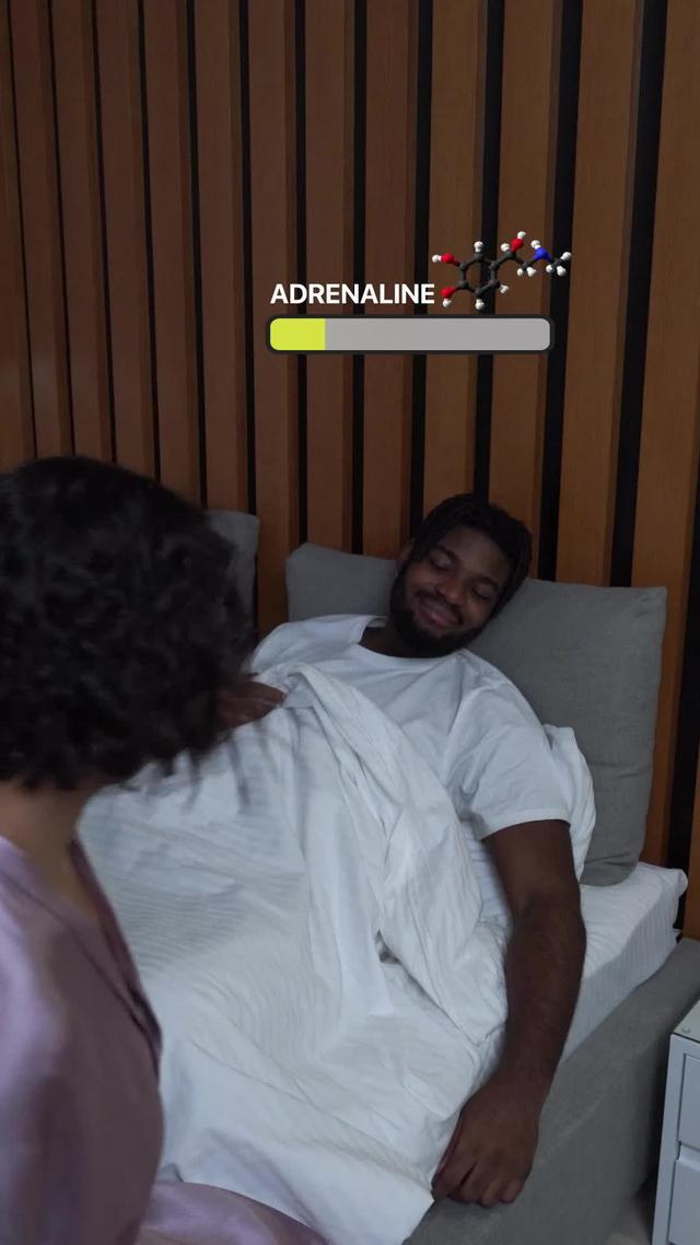 Fast and Easy to Use!