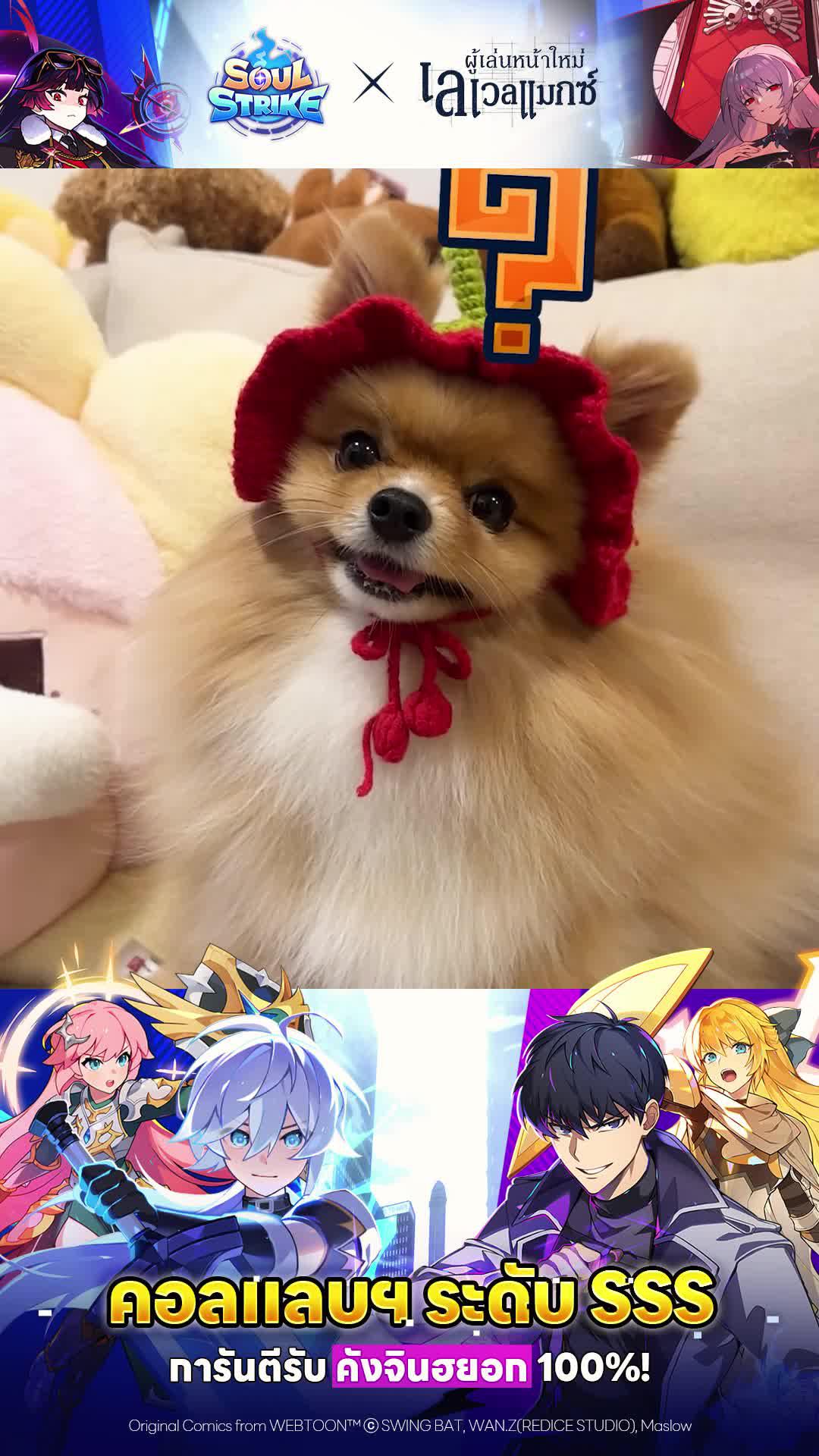 I'm the Max-Level Newbie