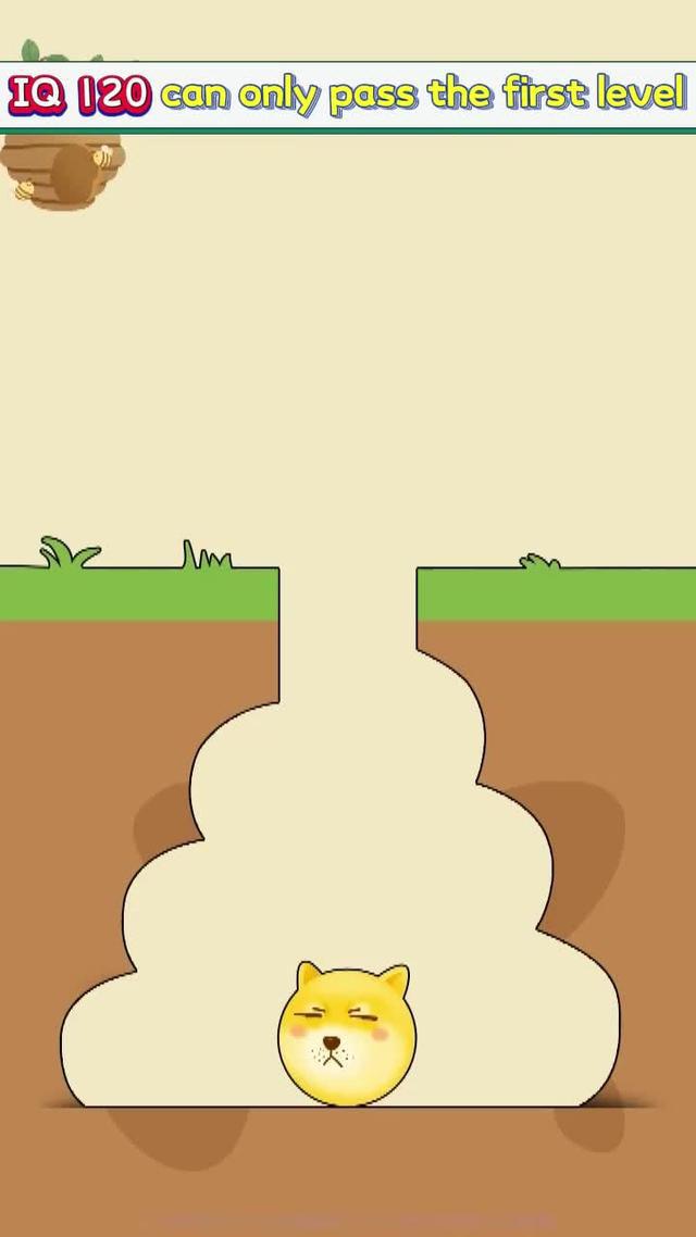 Doge is in danger! help him!