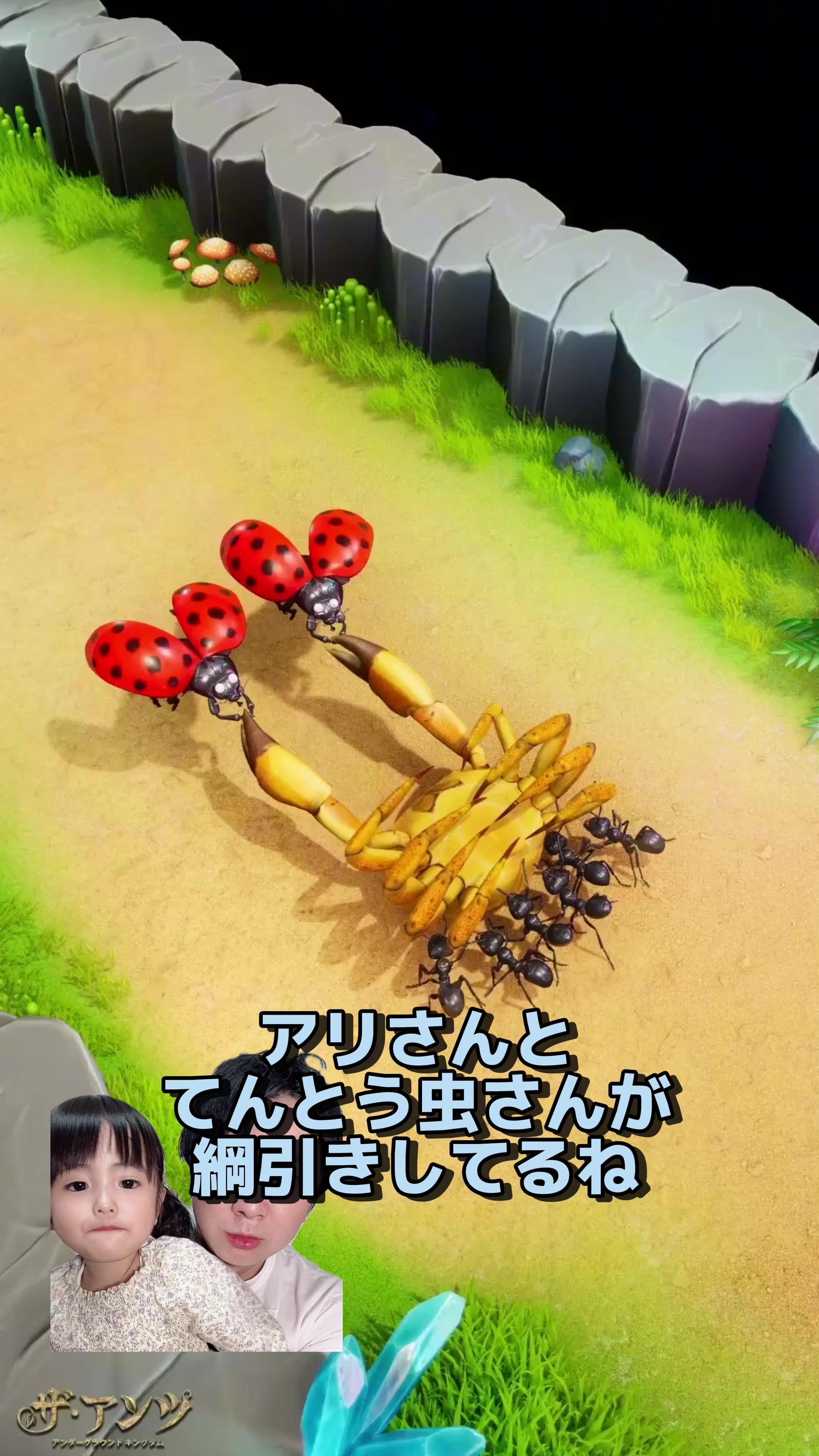 あなたのアリ帝国を築き上げろう