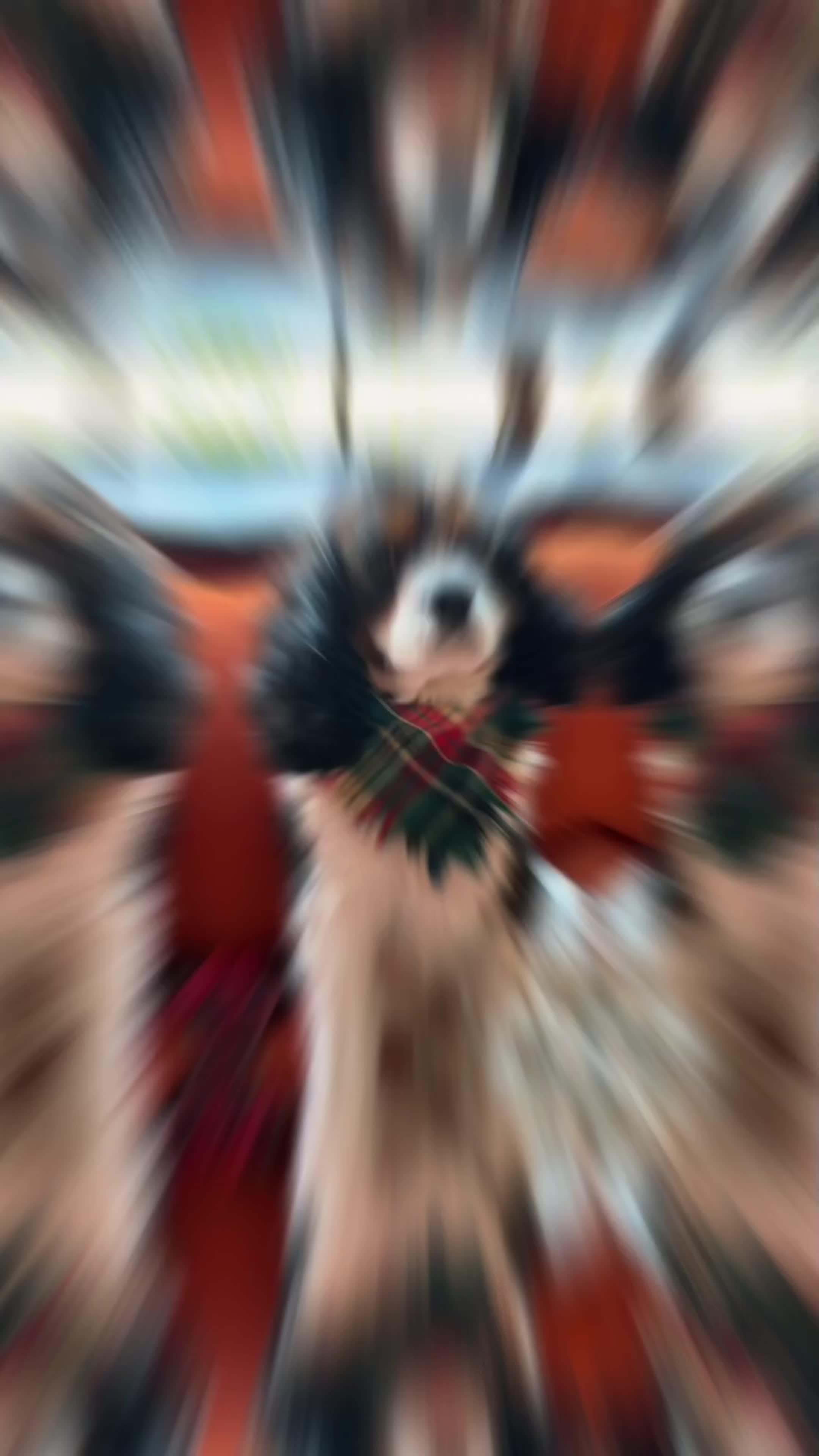 Transform your dog's behavior in days!