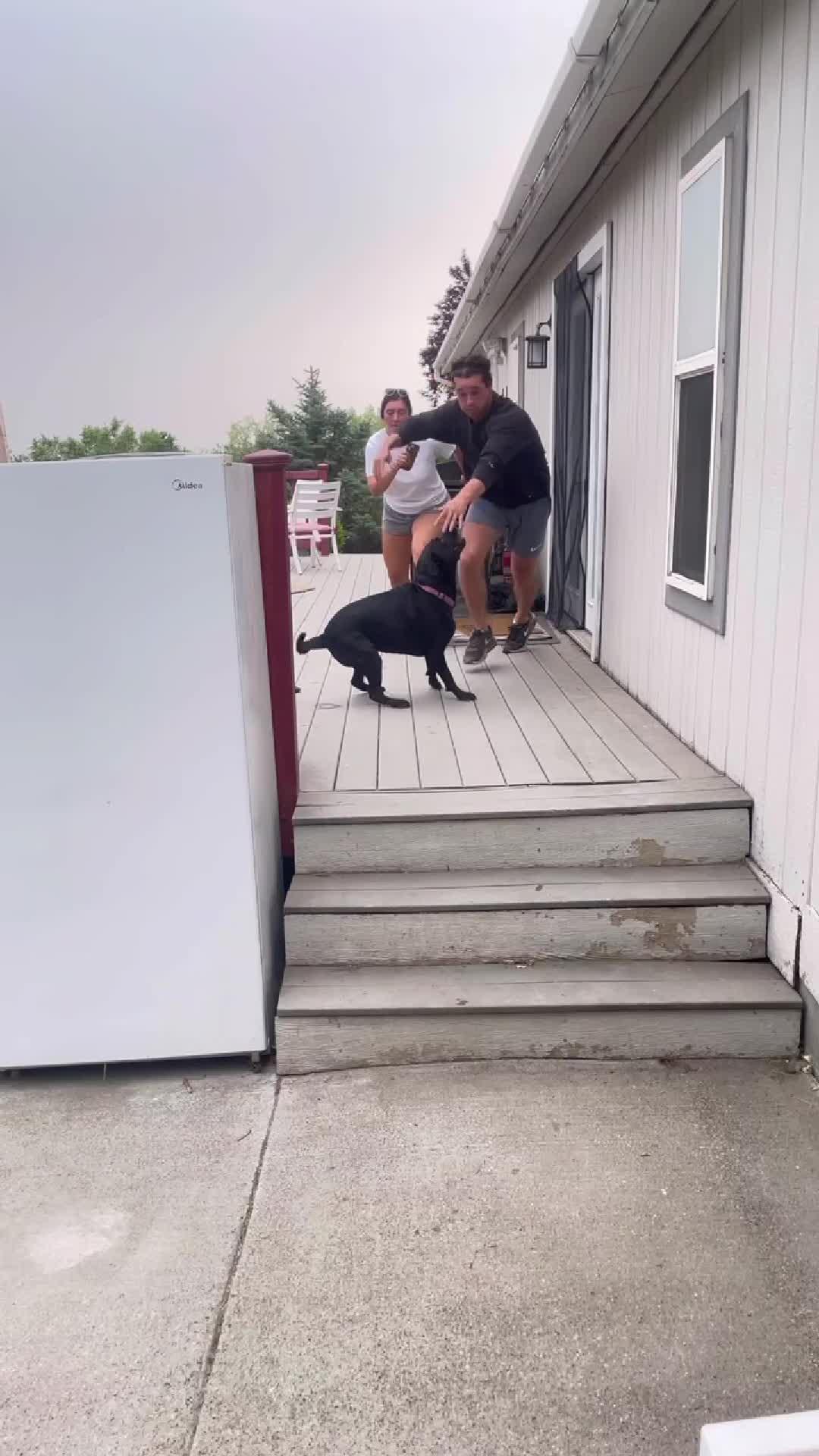 Real or fake, try it out