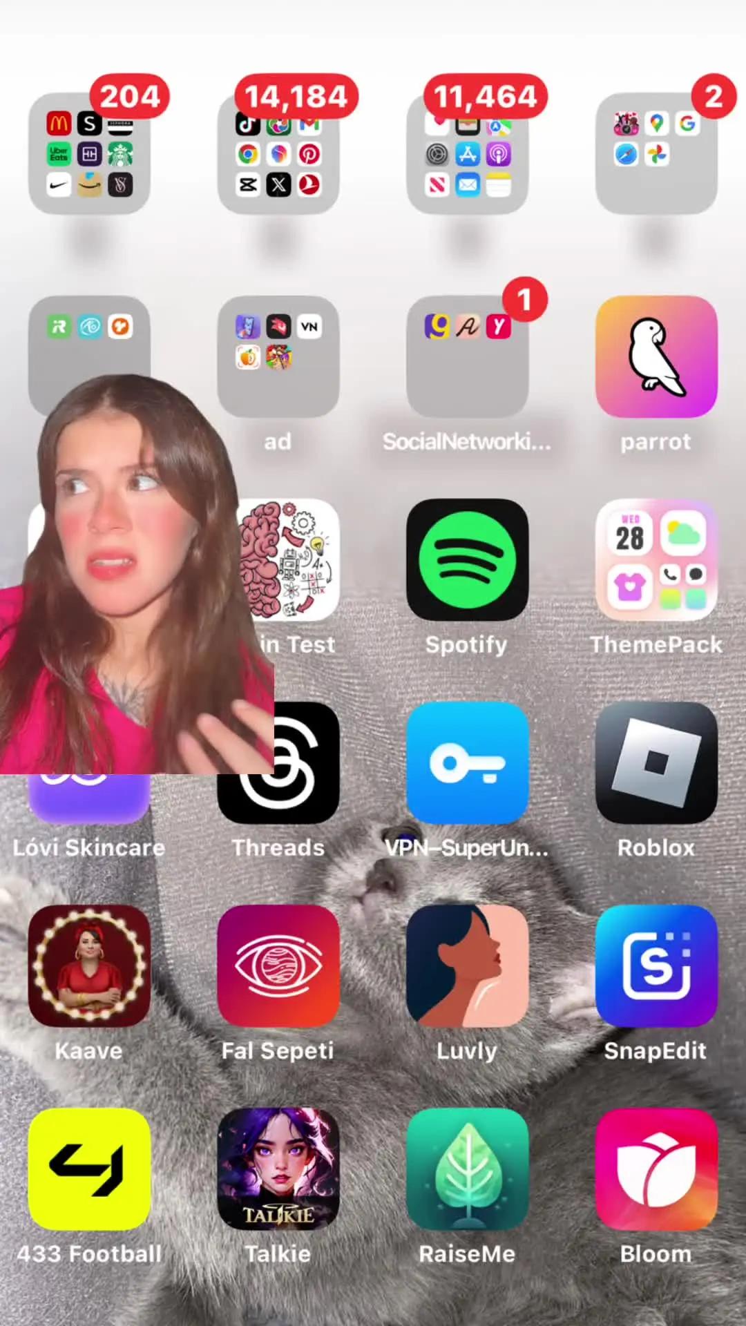 Set exclusive widgets & themes for your Phone!